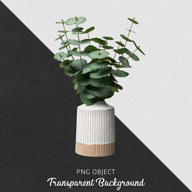 PSD vista frontal de pilea em vaso branco isolado