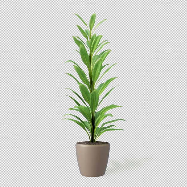 Vista frontal de la planta en maceta en 3D rendering