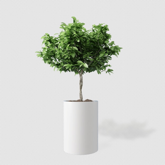 Vista frontal de la planta en maceta en 3D rendering