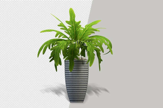 Vista frontal de la planta en maceta en 3D rendering