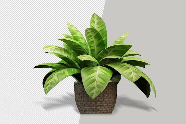 Vista frontal de la planta en maceta en 3D rendering