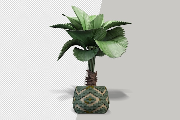 Vista frontal de la planta en maceta en 3D rendering