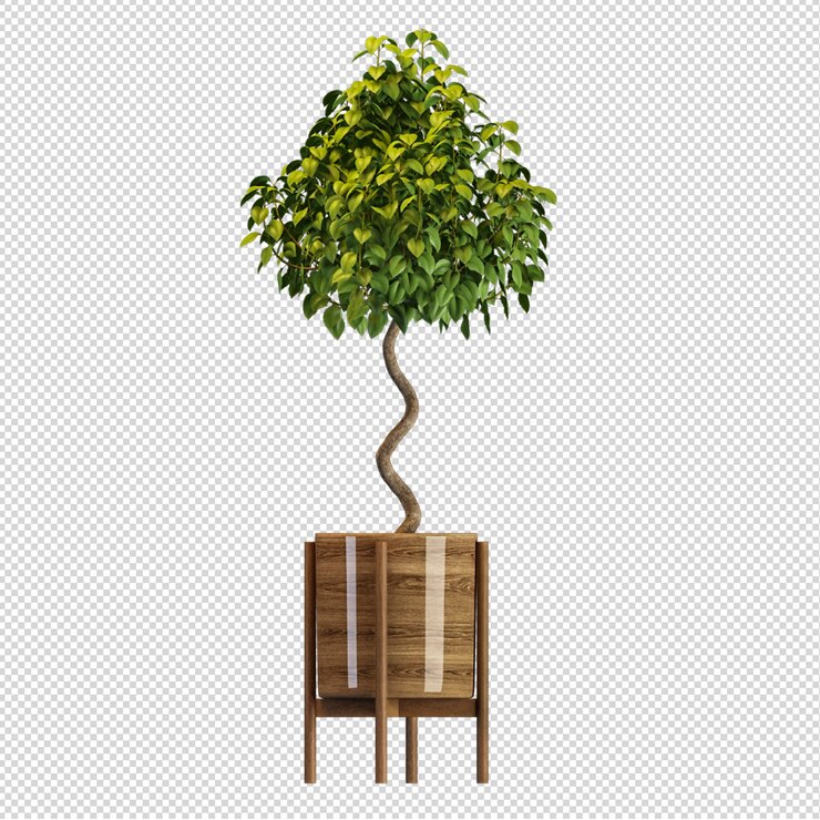 Vista frontal de la planta en maceta en 3D rendering