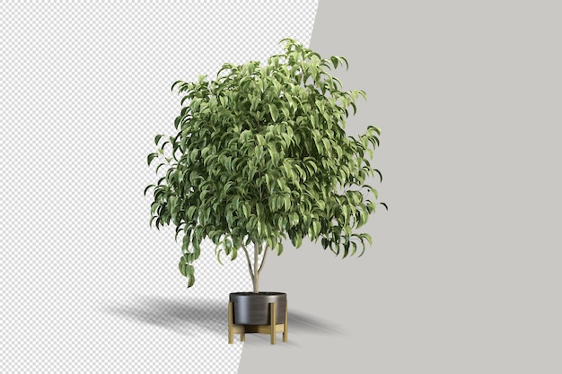 Vista isométrica de la planta 3d