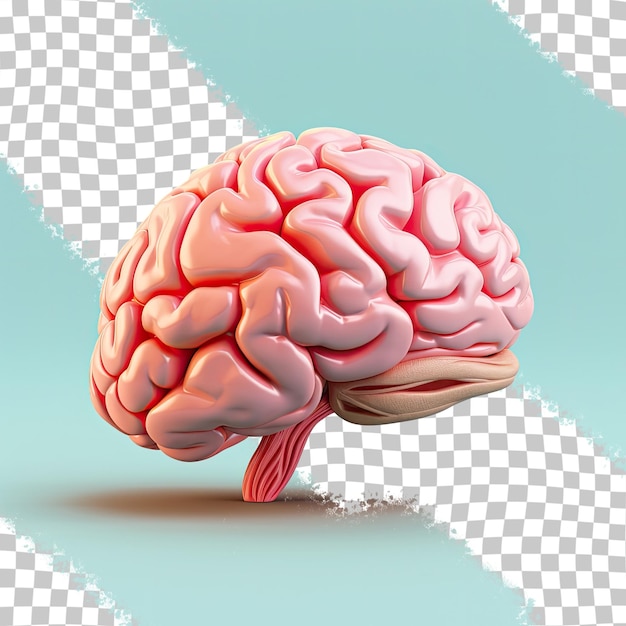 Vista lateral do cérebro humano