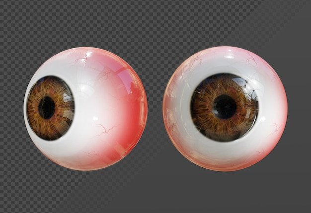 PSD vista en perspectiva de los órganos del ojo humano de representación 3d