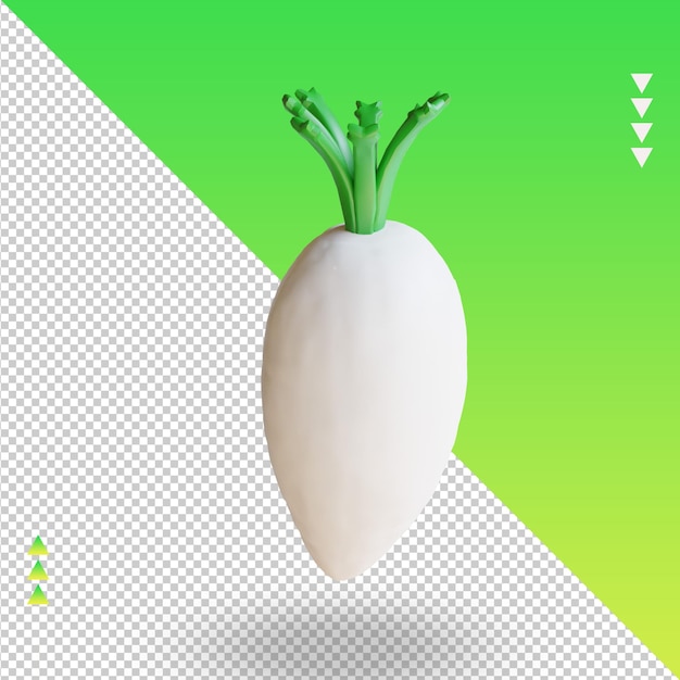 Vista superior de renderização de rabanete vegetal 3d