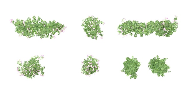 Vista superior de hojas de vid rosadas aisladas en renderización 3D sobre fondo blanco
