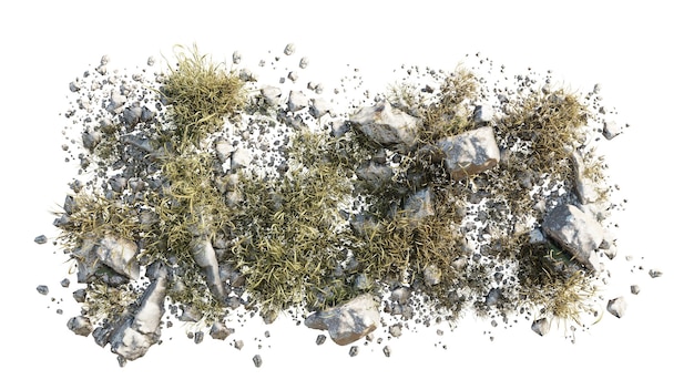 Vista superior de renderización 3D de varios tipos de flores arbustos de hierba arbustos piedra y plantas pequeñas