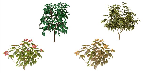 Vista superior de varias plantas y árboles Elementos de diseño del jardín
