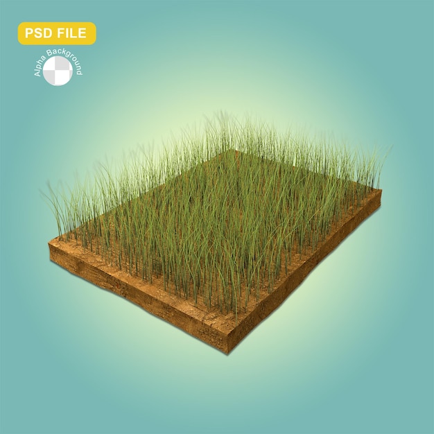 Visualizzazione del rendering 3d del podio in erba