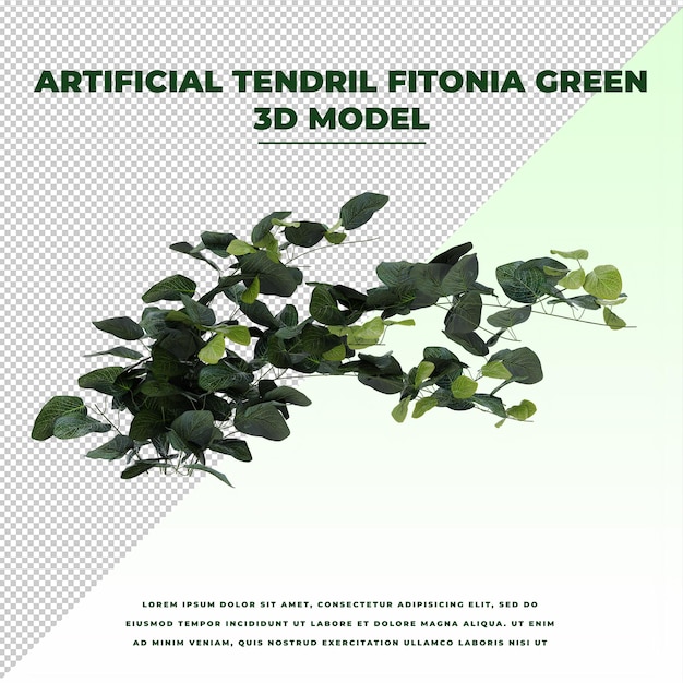 Viticcio artificiale Fittonia verde