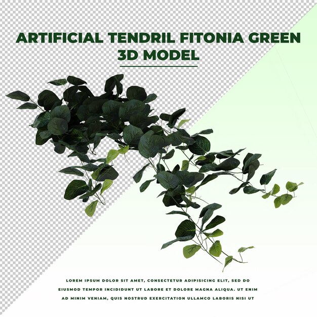 Viticcio artificiale Fittonia verde