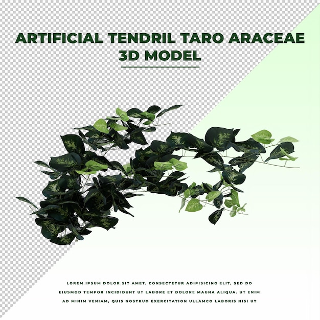 Viticcio artificiale Taro Araceae