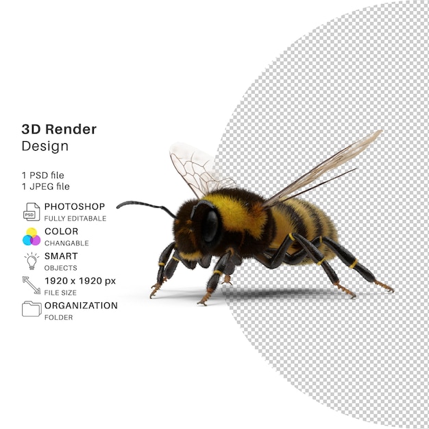 PSD vivid bumble bee modelado 3d diseño psd realista