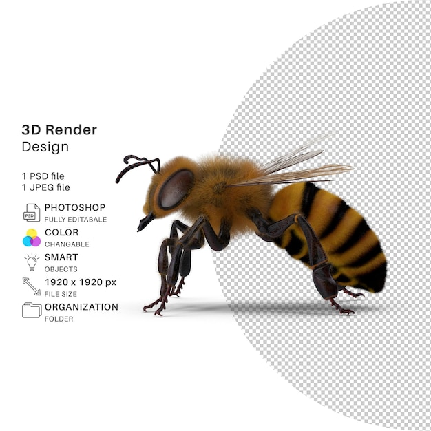 Vivid bumble bee modelado 3d diseño psd realista