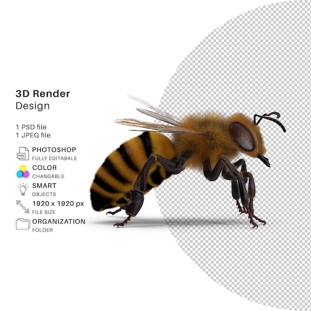 PSD vivid bumble bee modélisation 3d conception psd réaliste