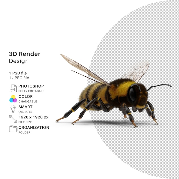 PSD vivid bumble bee modélisation 3d conception psd réaliste