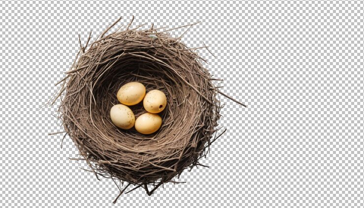 PSD vogelnest mit ei-design