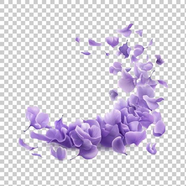 PSD volando pétalos de lavanda violeta giratorio en el aire hermosa flor en el concepto de la naturaleza ai generado png transparente con sombra