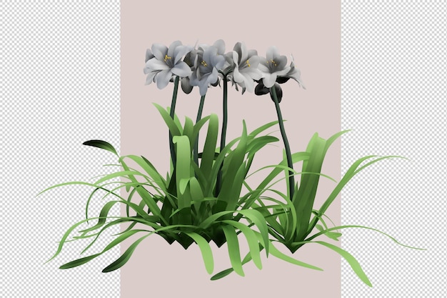 Vorderansicht Blumen in 3D-Rendering isoliert