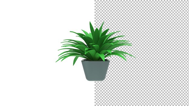 Vorderansicht der Spinnenpflanze ohne Schatten, 3D-Rendering