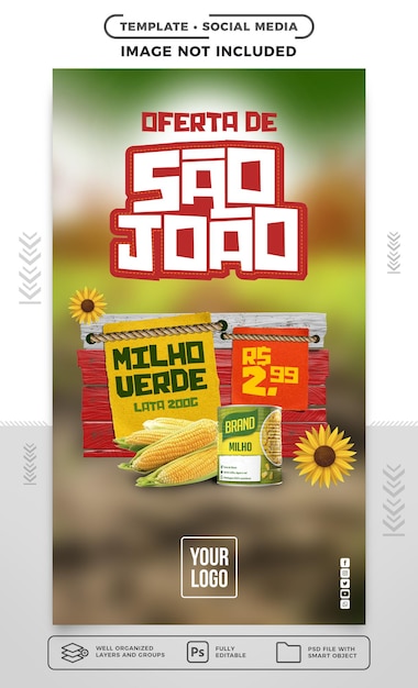 Vorlage Social-Media-Geschichten festa junina bietet von sao joao