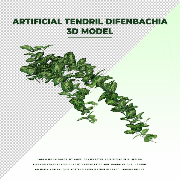 Vrille Artificielle Difenbachia