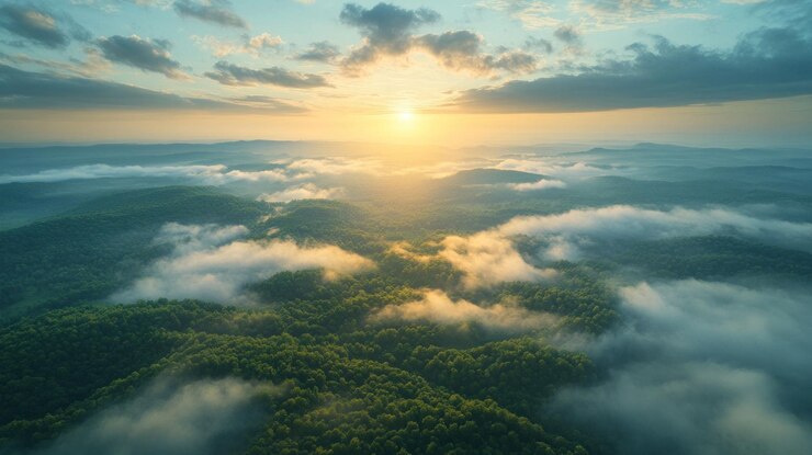 PSD vue aérienne d'une forêt avec des nuages et un lever de soleil doré