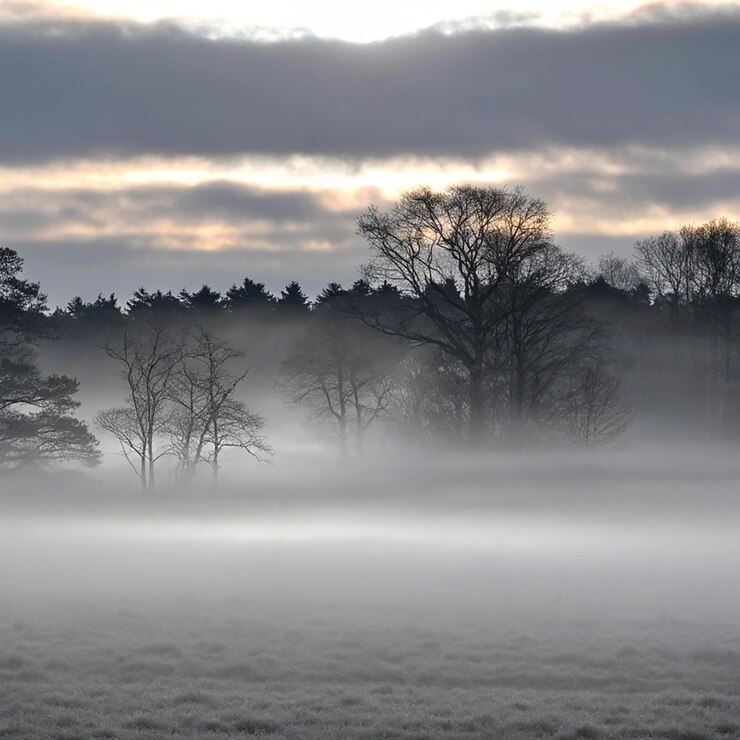 PSD vue aérienne d'une route dans une forêt avec du brouillard prise d'une photo de drone de haut en bas une voiture roule sur un
