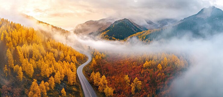 PSD vue aérienne d'une route sinueuse à travers la forêt d'automne brumeuse
