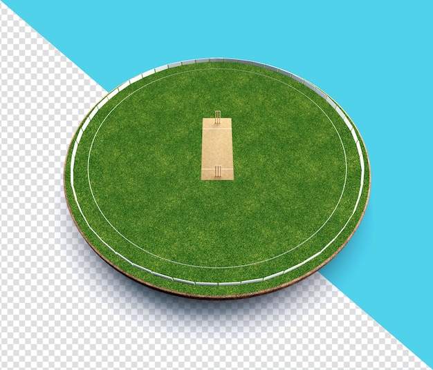 Vue de dessus du stade de cricket sur le terrain de cricket ou le terrain de jeu de sport de balle Illustration 3D du stade d'herbe