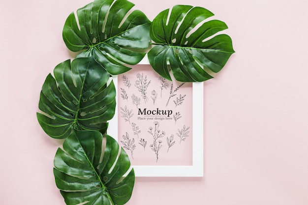 PSD vue de dessus feuilles de monstera avec cadre