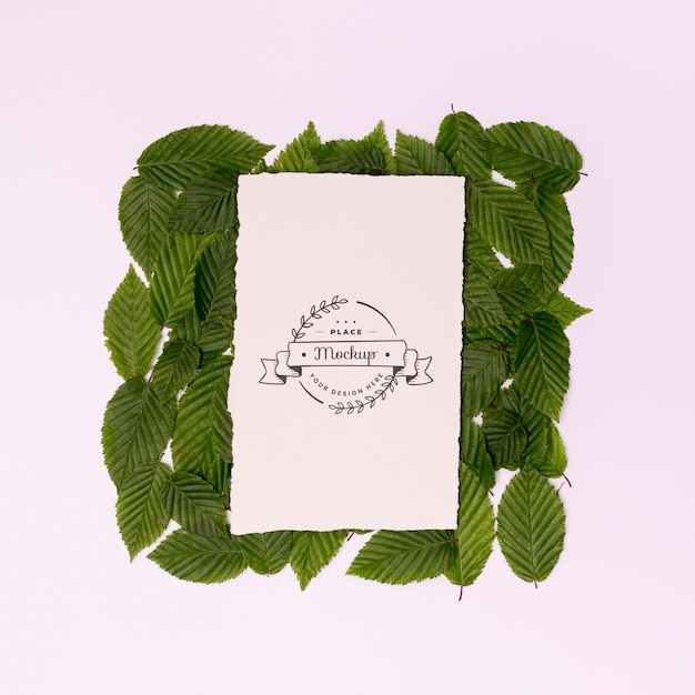 Vue de dessus de la maquette du concept de feuilles
