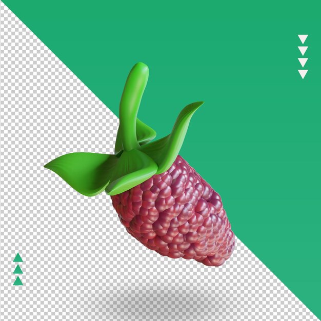 Vue de dessus de rendu 3d Fruits Mulberry