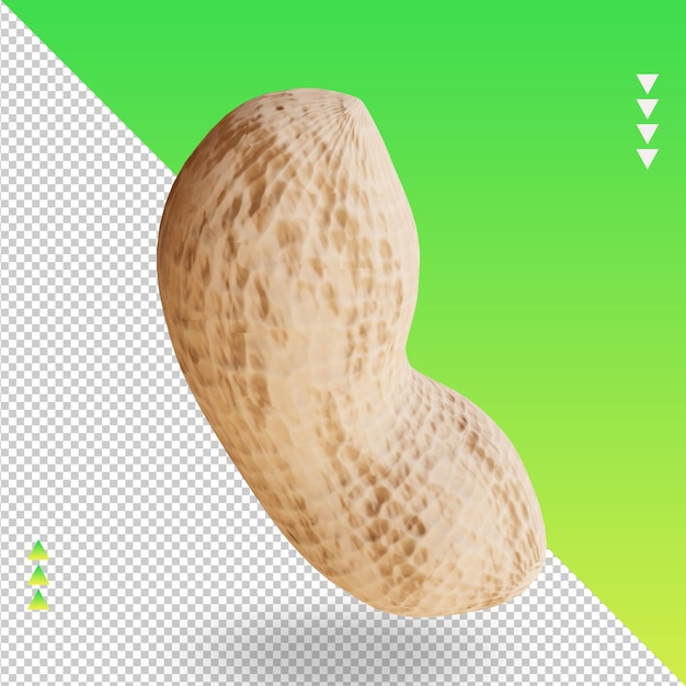 PSD vue de dessus de rendu de cacahuète végétale 3d