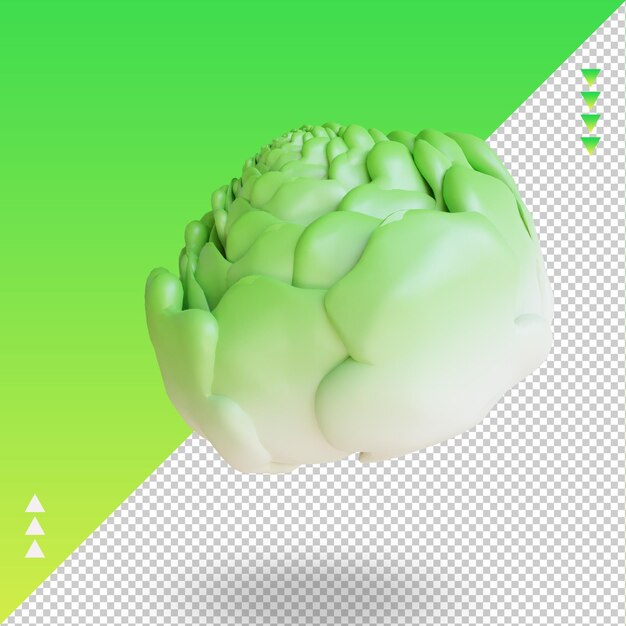 Vue de droite de rendu de chou végétal 3d