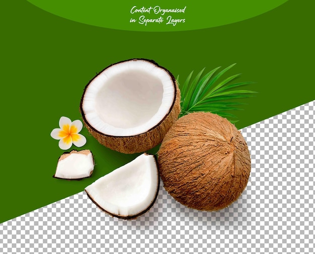 Vue du sommet de la noix de coco avec des feuilles vertes isolées sur un fond transparent