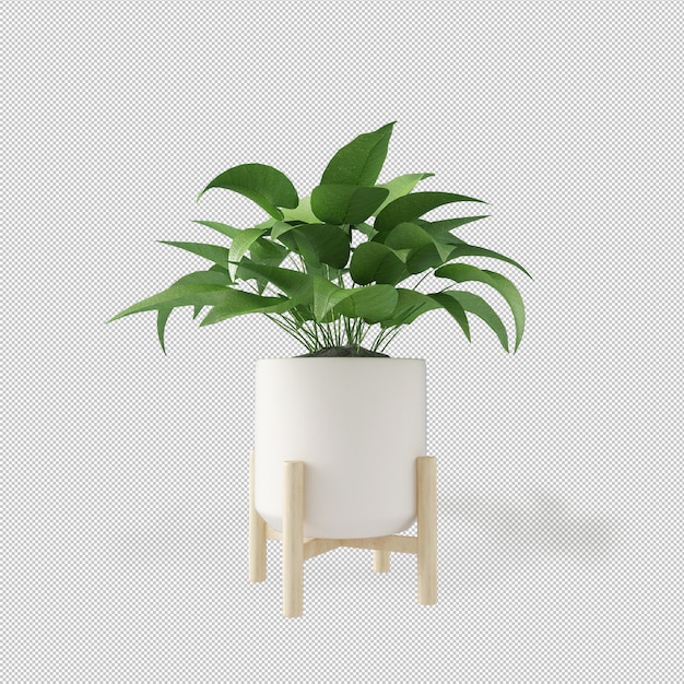 Vue de face de la plante en pot dans le rendu 3D