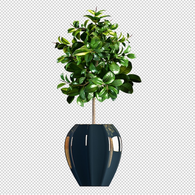 Vue De Face De La Plante En Pot Dans Le Rendu 3d