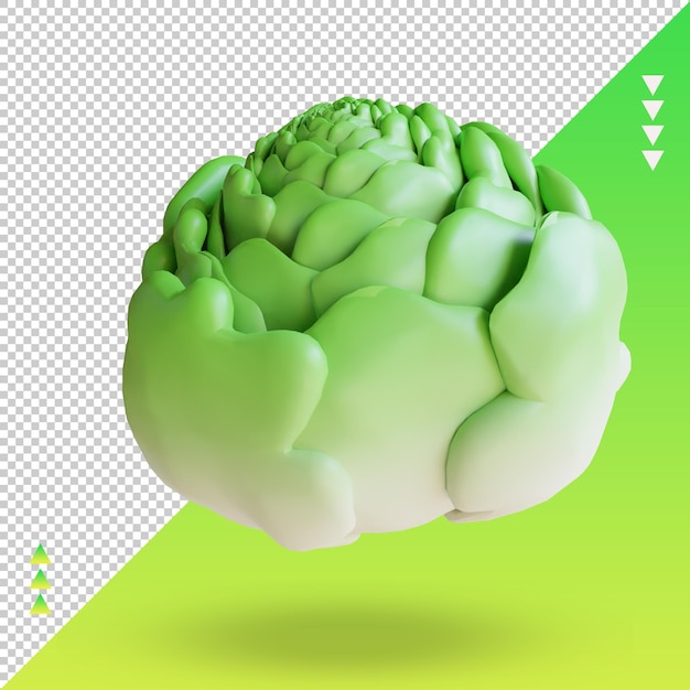 Vue de face de rendu de chou végétal 3d