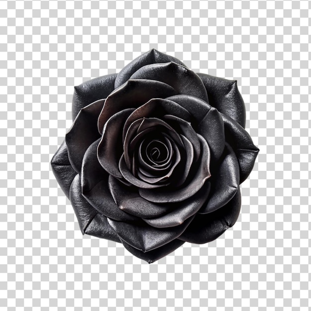 PSD vue de haut une rose noire isolée sur un fond transparent