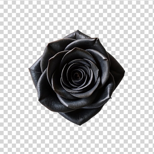 PSD vue de haut une rose noire isolée sur un fond transparent