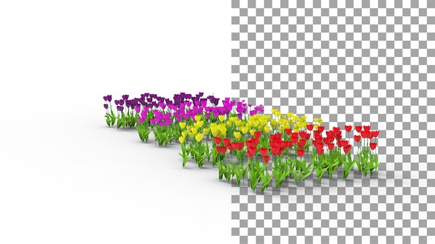 Vue latérale de la fleur de tulipe colorée avec rendu 3d de l'ombre