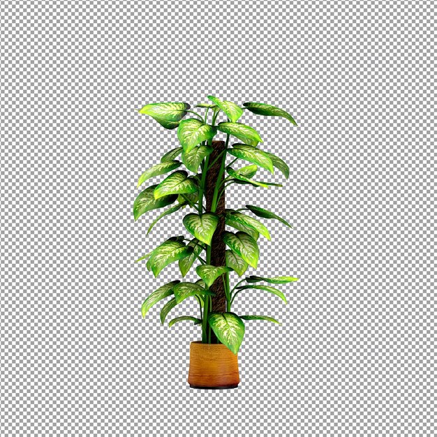 Vue rapprochée d'une fleur dans un vase en 3D