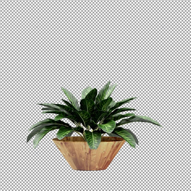 Vue rapprochée d'une fleur dans un vase en 3D
