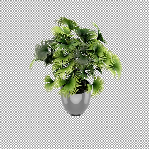Vue rapprochée d'une fleur dans un vase en 3D