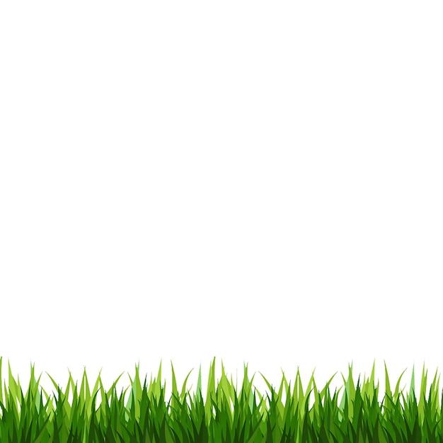 Vue rapprochée de l'herbe verte sur fond blanc