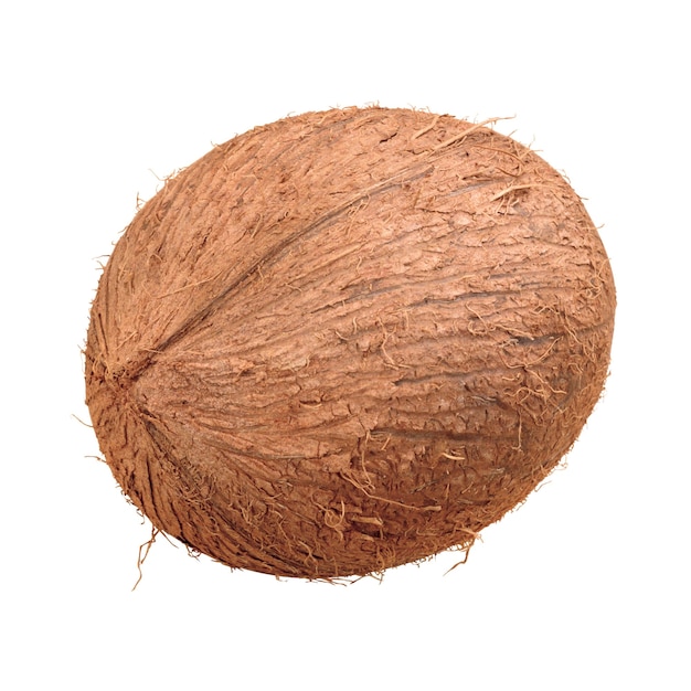 Vue rapprochée d'une noix de coco fraîche entière isolée sur blanc