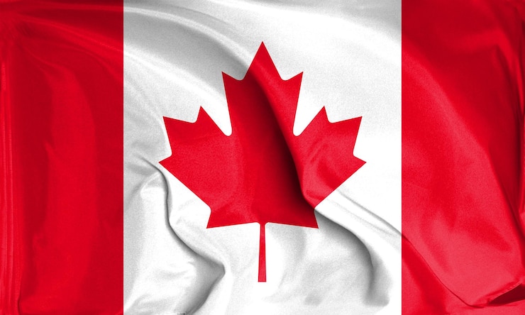 PSD une vue rapprochée des textures du drapeau canadien